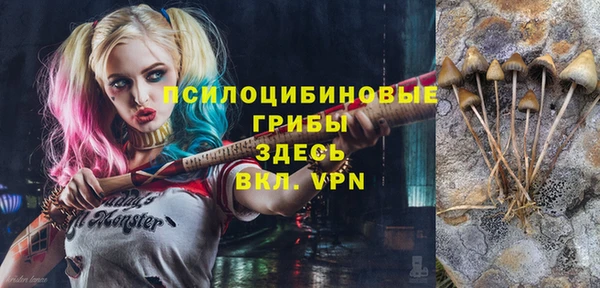 дурь Абинск