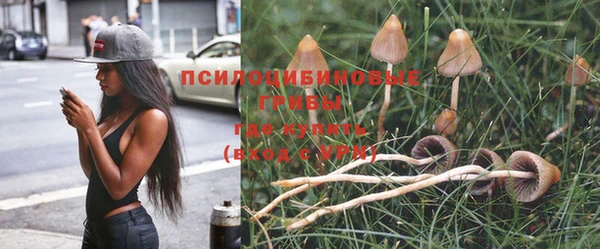 apvp Сатка