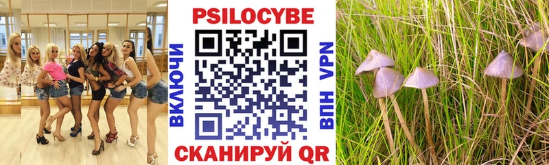 цены наркотик Пойковский Псилоцибиновые грибы Psilocybine cubensis